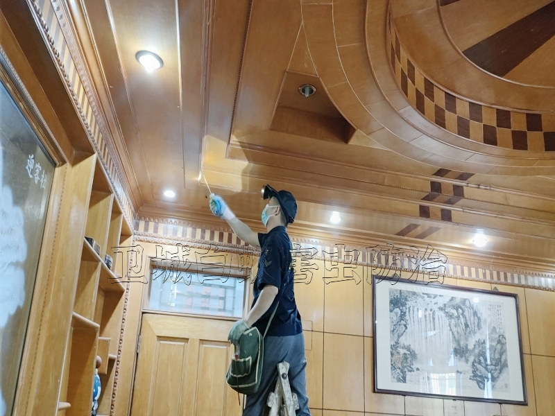 东莞清溪工厂蚂蚁灭治案例，清溪灭治蚂蚁,清溪白蚂蚁公司消杀首选卫城
