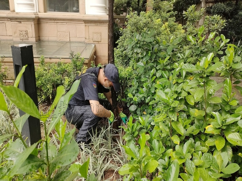 荔城灭白蚁公司,增城荔城白蚁防治站公司,荔城白蚁防治公司