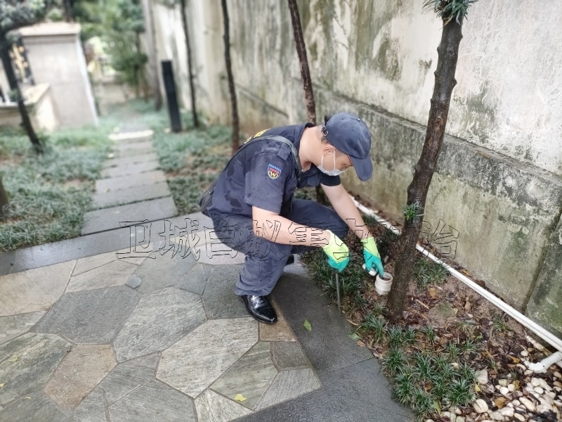 荔城上门杀白蚁公司_注意今年的大水蚁己在分飞了